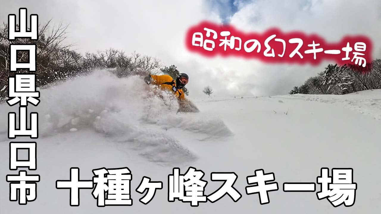 山スキー ZX ALPHA