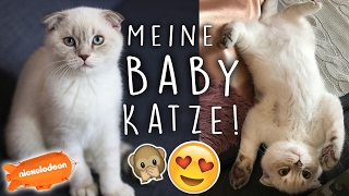 MEINE BABYKATZE (Haul, Anschaffung) + NOMINIERUNG für Kids Choice Awards!