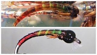 T.S.P  Tony Stark Pupa Chironomid Fly