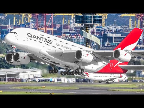 400 AIRCRAFT TAKEOFFS & LANDINGS in 4 HOURS, Aircraft Identification | Sydney Airport Plane Spotting