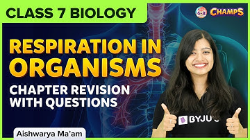 Top 10 Most Important Questions with Answers from Respiration in Organisms | Class 7 | Science