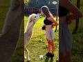 Animals Showing Pure Love & Trust to Humans ❤️ Incredible Bonds (Part 2)