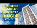  this rise of jamaicas concrete jungle kaylakkeane