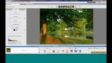 Picasa Basics Webinar