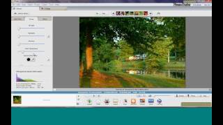 Picasa Basics Webinar screenshot 1