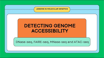 Methods for Detecting Genome Accessibility: DNAse-seq, FAIRE-seq, MNase-seq, ATAC-seq