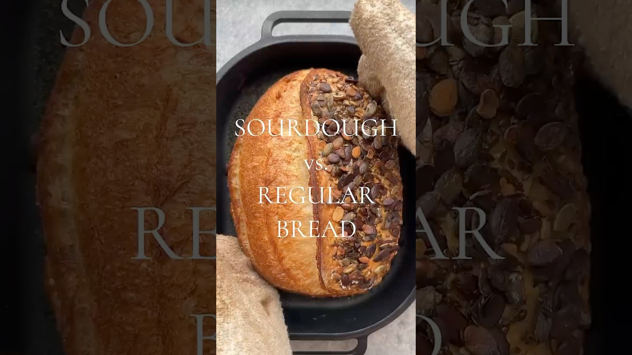🥖 Sourdough vs. Regular Bread: What's the Difference? 🥖