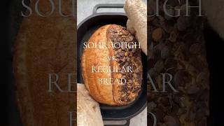 Sourdough Vs. Regular Bread Whats The Difference?