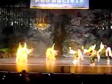 Tinkus Unidos - Nuesta 2008