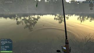 Ultimate  Fishing Simulator Amazon River Gameplay (PC Game). screenshot 2