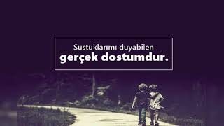 Dostluk Nedir Bilirmisiniz.