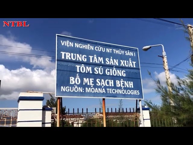 Trung tâm sản xuất tôm sú giống MOANA tại Việt Nam - YouTube