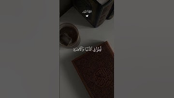 تلاوة خاشعة 🤍القارئ "ماهر المعيقلي "أيات من سورة النور 🤍🌿 #قرآن #قران #quran #fuoryo #fyp