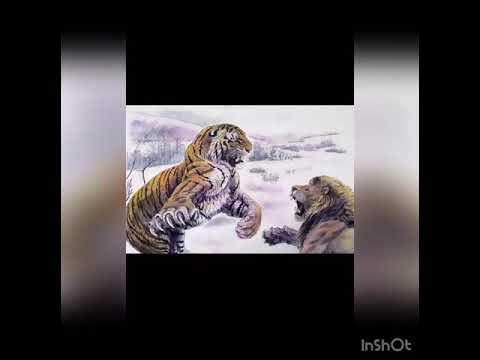 Тигр против тигра 7 глава на русском. Схватка тигра и медведя. Лев и тигр. Тигровый цветок манга. Тигр против тигра 7 глава на русском.