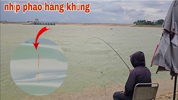 Câu đài tự nhiên săn cá khủng ở đập thủy điện lớn nhất miền nam | câu cá tự nhiên