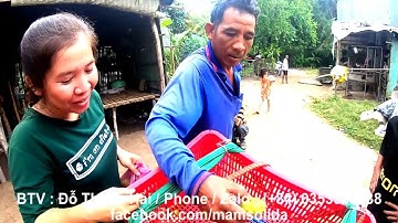 Miền tây quê tôi : Khúc luân vũ của chuyến xe rau 0 đồng đi quanh núi Cô Tô, Tri Tôn, AG 03/12/24