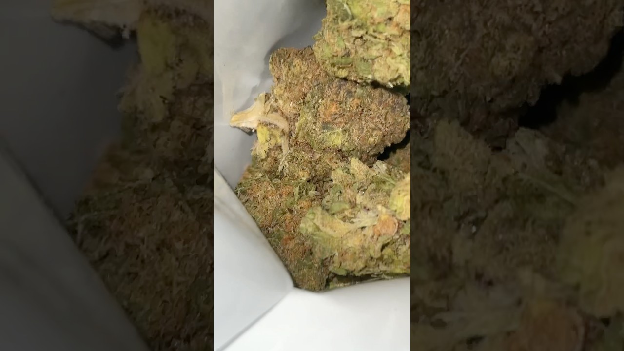 Grand Daddy Purps By Good Supply ⛽️ 