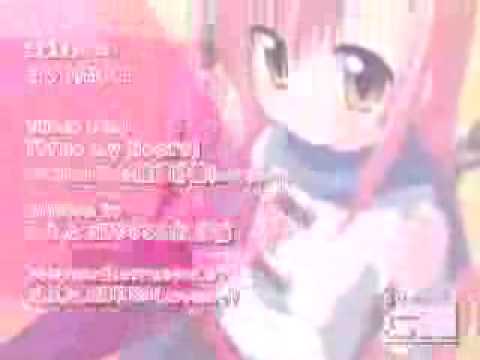 ヒナギクdeきしめん