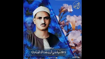 الشيخ محمد صديق المنشاوي رحمه الله / مقطع رائع من ╮سورة القصص╭
