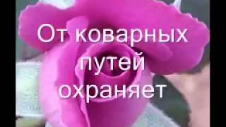 veli4it_duwa.flv