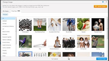 HTML Website Builder   Adding and Customizing Images in your Wix Site