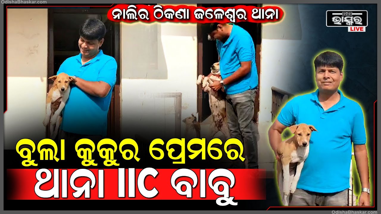 ଜଣେ ଥାନାର ପୋଲିସ ବାବୁ ଆଉ ଜଣେ ବୁଲା କୁକୁର ,ହେଲେ କୁକୁର ପ୍ରତି ଥିବା ଭଲପାଇବାକୁ ଆପଣ ନଦେଖିଲେ ବିଶ୍ୱାସ କରିବେନି