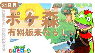 【23日目】ポケットキャンプコンプリート始まったらしい！！後でちょっとやる【川鰐グラムのあつまれどうぶつの森・ポケットキャンプコンプリート】（あつ森・ポケ森）
