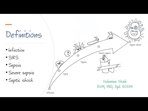 Video: In che modo l'infezione da meningococco provoca shock settico?