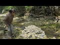 Lytieuca accidentally found the money while walking past a dried-up stream – an incredibly lucky ...
