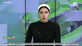 Справка об инвалидности в России станет электронной с 1 марта 2026 года