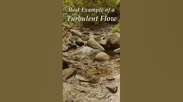 Turbulent Flow Example #turbulentflow #turbulent #waterflow #riverflowing  #short #shorts