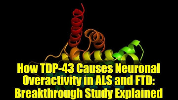 How TDP-43 Causes Neuronal Overactivity in ALS and FTD: Breakthrough Study Explained