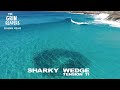 Shark at crazy remote wedge exploring for tension 11 surf trip the grin reapers podcast 240