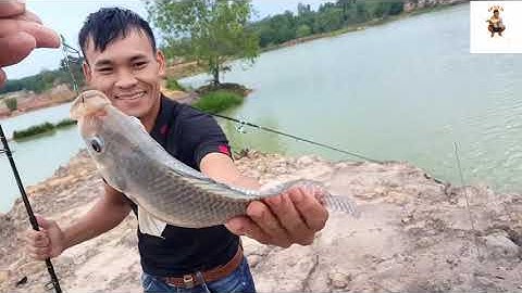 fishing, điểm câu cá tự nhiên mới, Câu Dạo TV