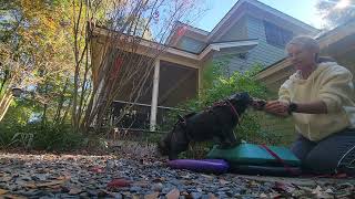 Fozzie.TLSplatformPLSdisc2.11.24.25