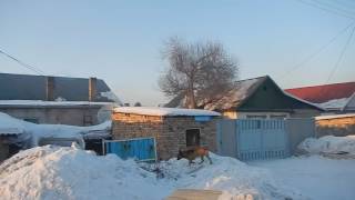 Рыжая собака забралась на вершину снежной горы Рыжая собака забралась на вершину снежной горы