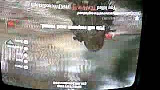 Call of Duty 4 Modern Warfare Online Team Killing!