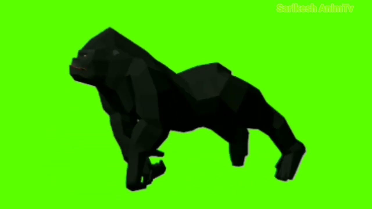 gorilla|gorilla green screen video|green screen|green screen effects|Chroma key