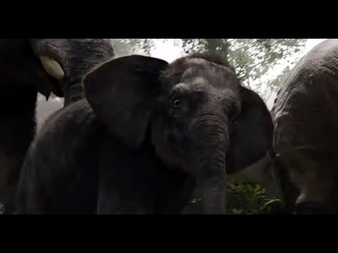 Disney's The Jungle Book (2016) Official Extended Trailer - Live Reaction