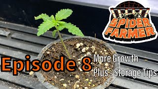 Spider Farmer | Steady Growth plus Storage tips - Ep. 8