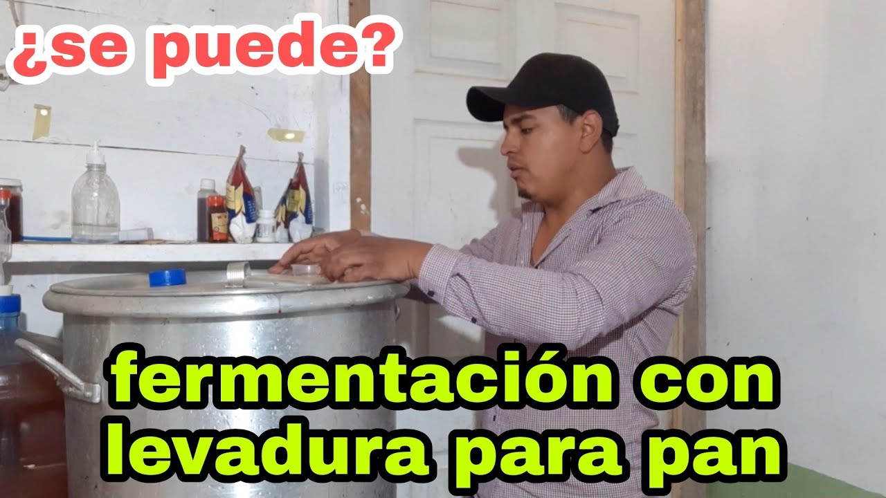 Se puede HACER Vino con LEVADURA para pan/ ¿cuál es el resultado?