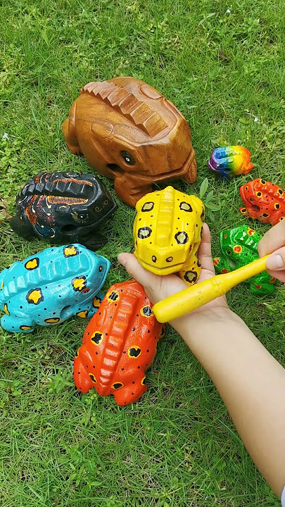 wooden frog instruments #asmr