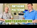 Питание растений | Что может предложить биотехнология