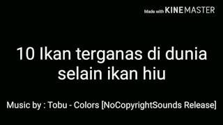 10 Ikan Terganas Di Dunia Selain Ikan Hiu.