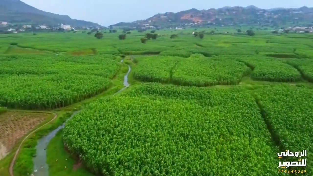 سهل الرجم وسد حلوان المحويت