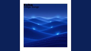 Echo