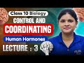 Class 10 Science | Control & Coordination 🧠 | L-3 Human Hormones + Important Qs | Board 2025
