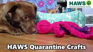 HAWS Quarantine Crafts #5 - Octopus Tug Toy screenshot 5