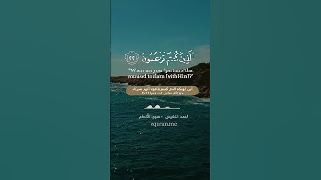 سورة الأنعام [ 22 : 24 ] ~ القارئ أحمد النفيس