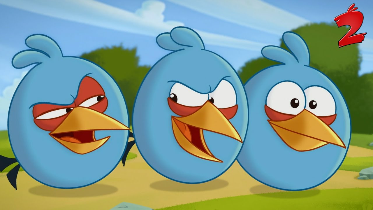 Birds 2.0. Синяя Троица Angry Birds. Angry Birds на белом фоне синяя Троица. Rovio toons ТВ.